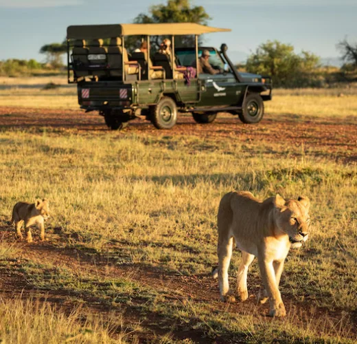 Ranthambore Car Rental