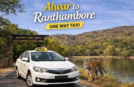 one-way taxi from Alwar to Ranthambore
